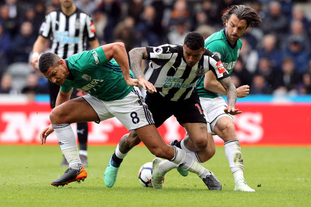 的段落标题 的段落标题