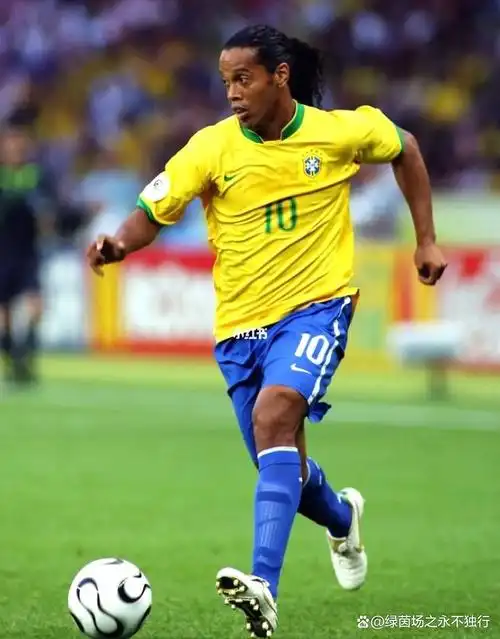 己在人生中 己在人生中