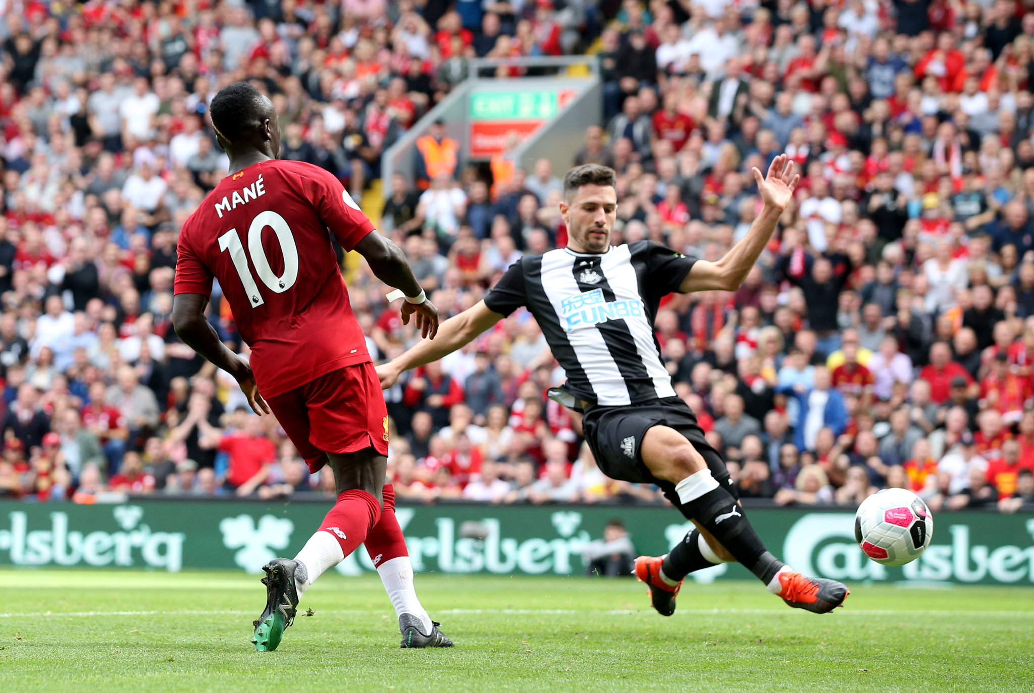 仅拥有优秀 仅拥有优秀